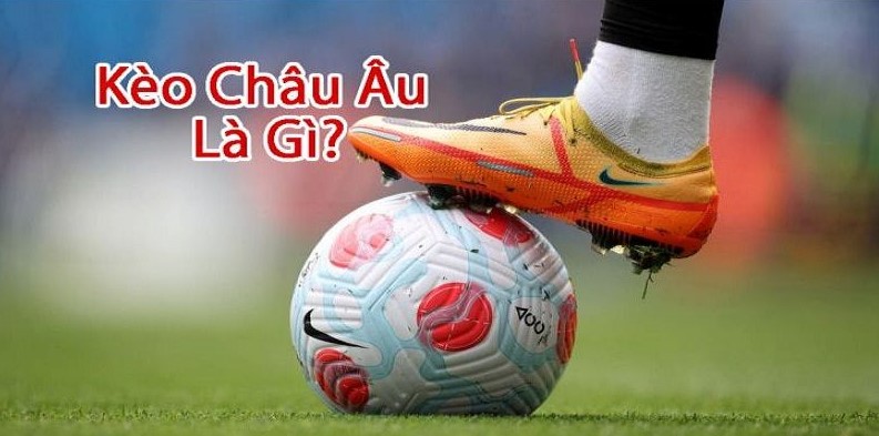 Kèo Châu Âu Hello88 - Mẹo Hay Giúp Nắm Lợi Thế Khi Cược 3 Hướng dẫn đọc thật chuẩn xác